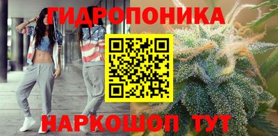 стаф Бузулук