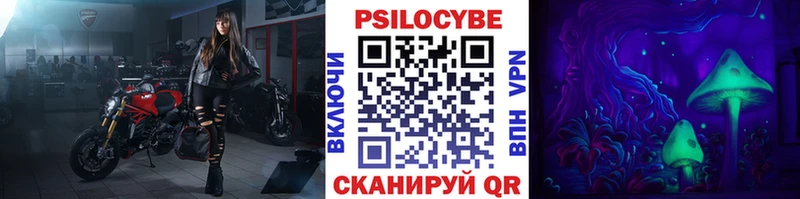 Псилоцибиновые грибы мухоморы  omg онион  Грозный  что такое наркотик 