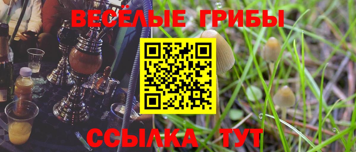 Псилоцибиновые грибы прущие грибы Грозный